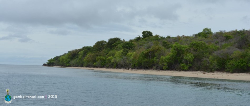 Garis pantai Pulau Moyo
